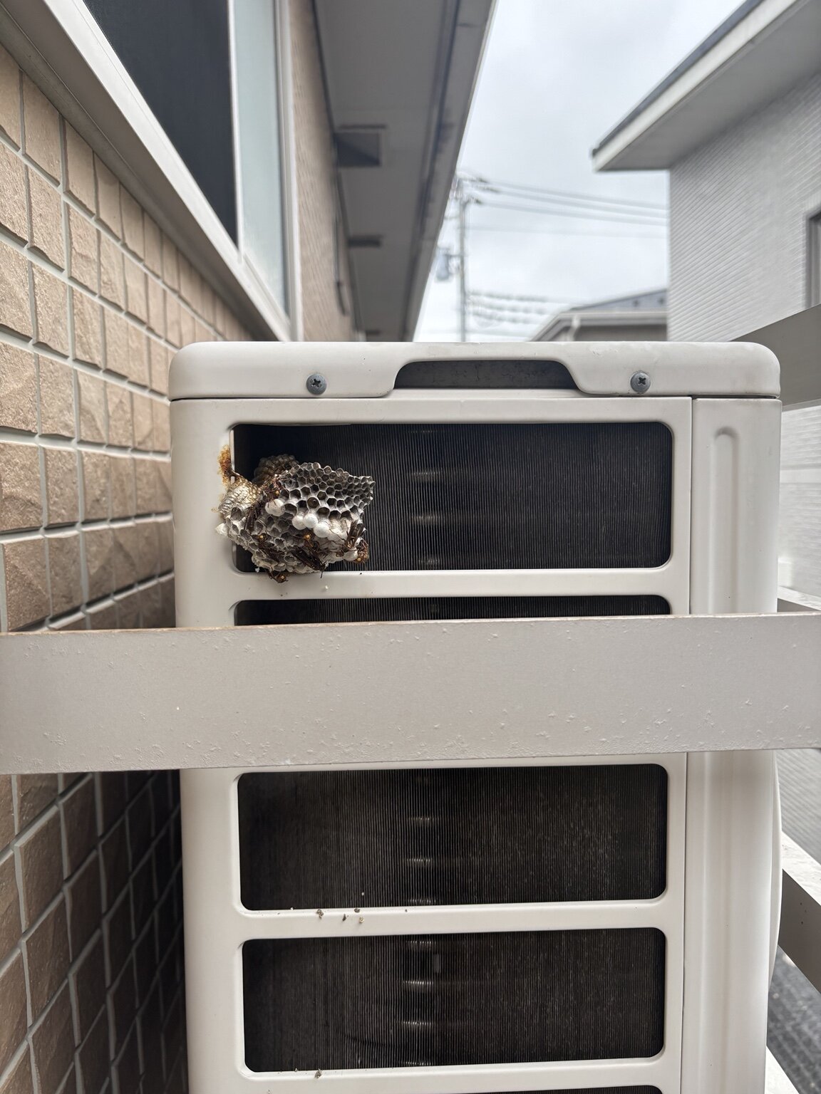 2階部分の室外機に作られたアシナガバチの巣